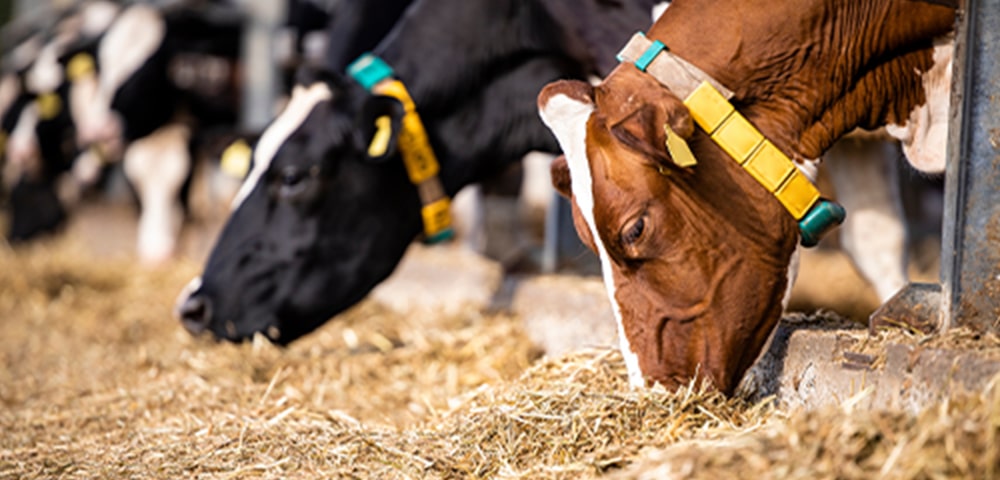 機能性肥料・飼料の取り扱い