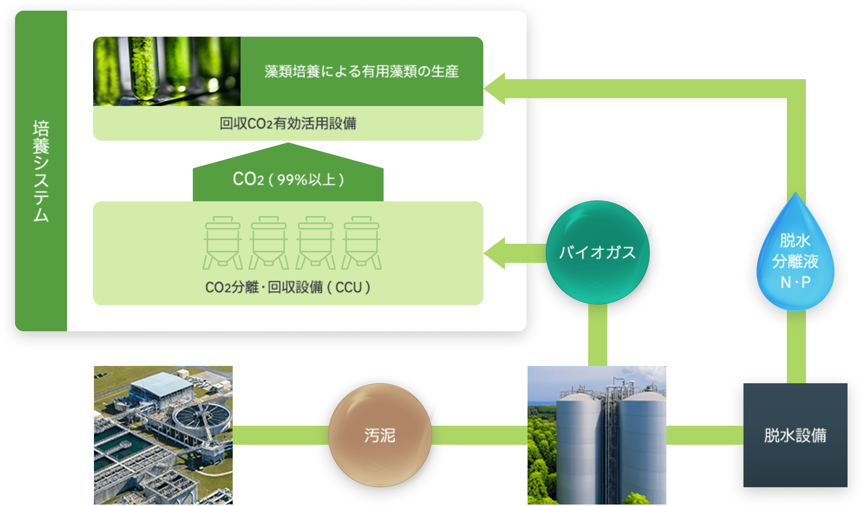 バイオサイクルの図