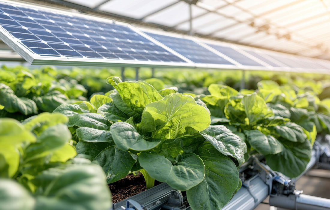 人工光合成ユニット