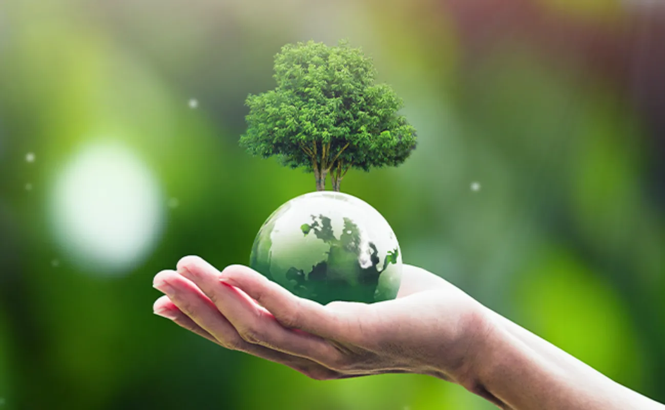 サステナブル設備導入プロジェクト