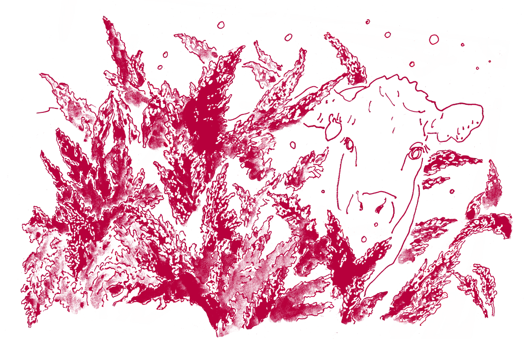 サステナブル設備導入プロジェクト